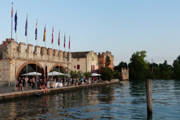 NSV – Negative Strand RNA Virus Meeting 2018