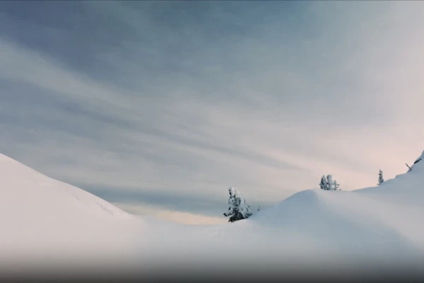 Lapponia Scania Incentive