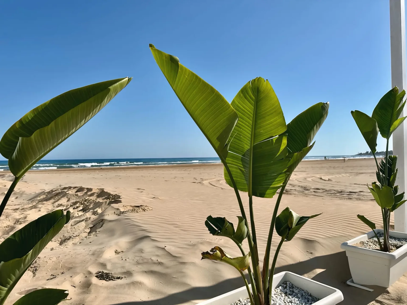Mainox Incentive Sicily