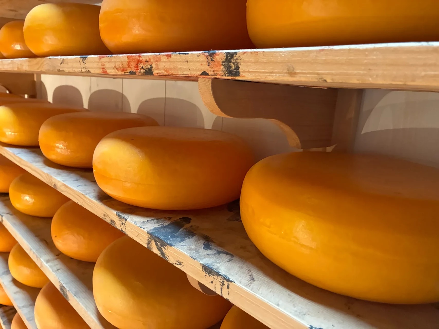 Scania Amsterdam Experience 2025