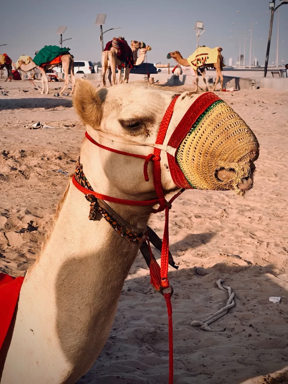 Brasstech Qatar Incentive