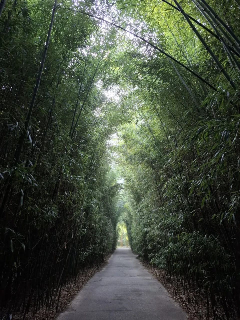 Meeting Direttori Generali