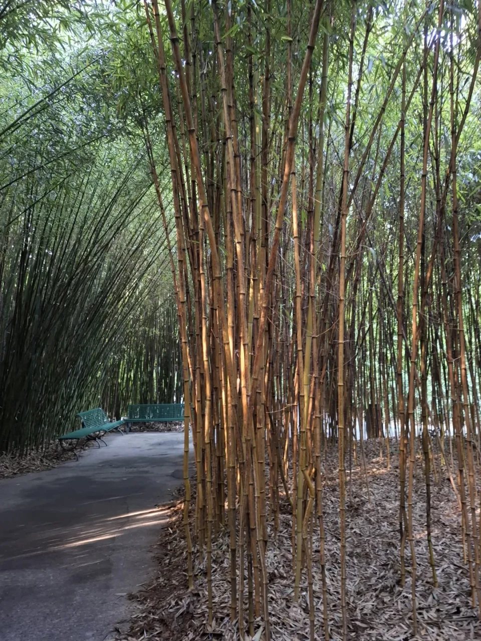 Meeting Direttori Generali