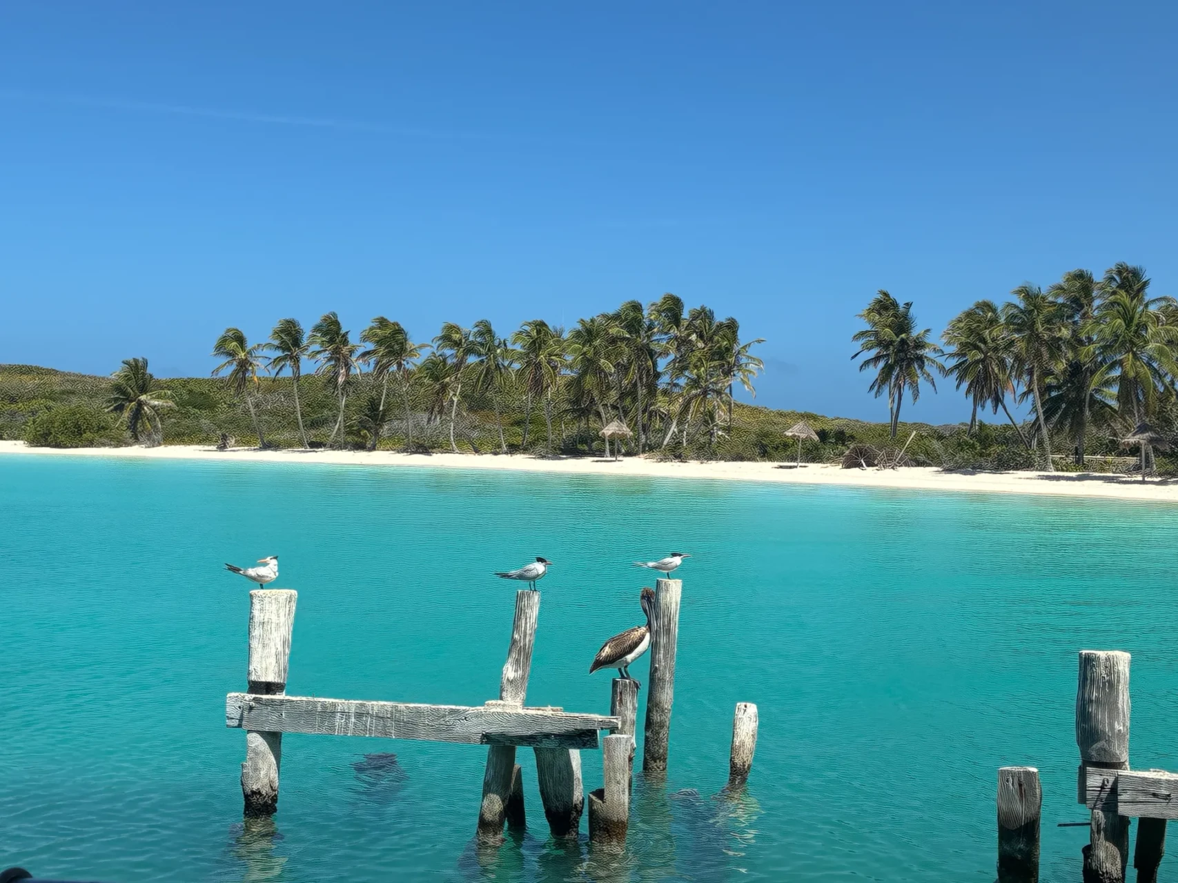 SVAI Incentive Yucatán
