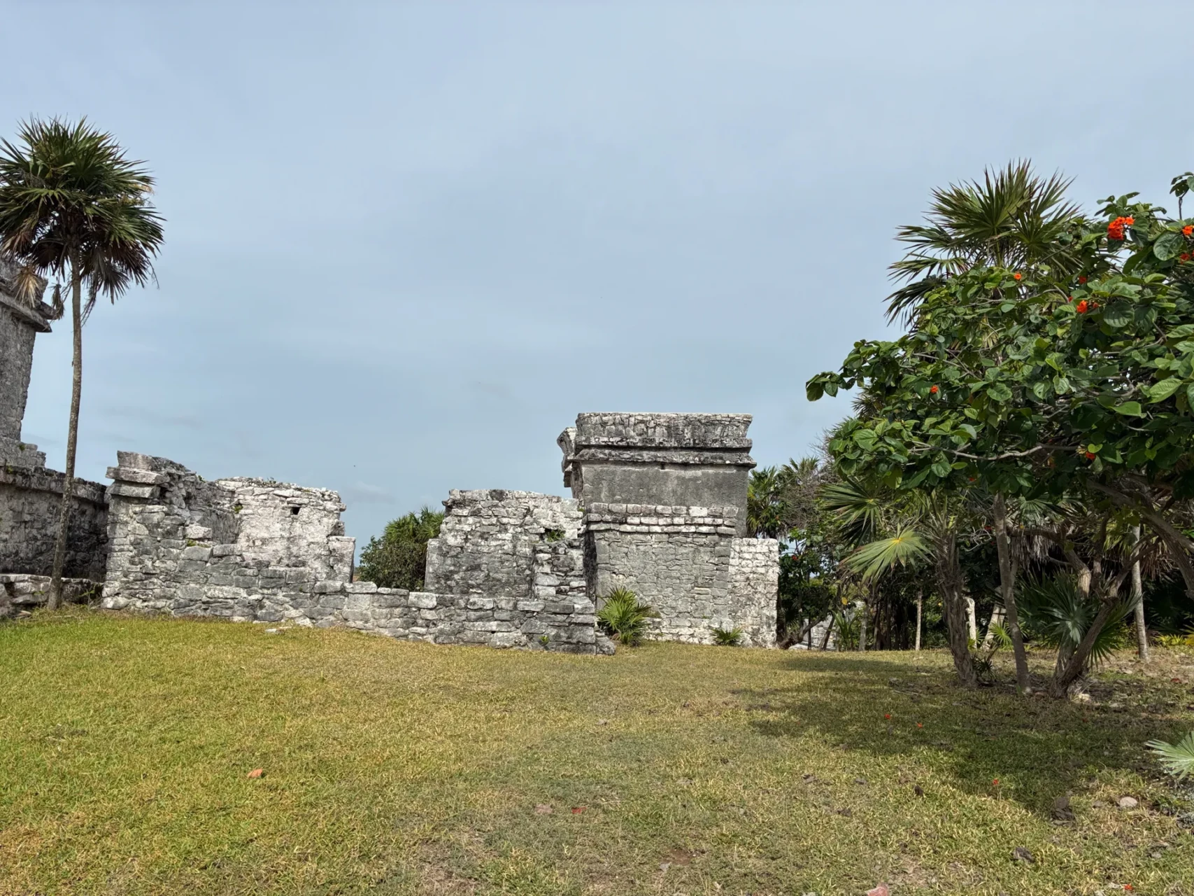 SVAI Incentive Yucatán